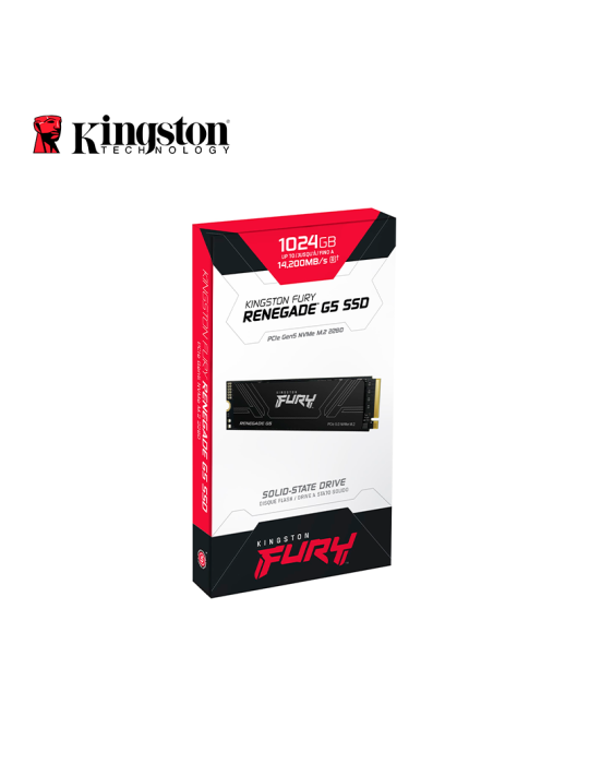 SSD M.2 Kingston Fury Renegade G5 1024GB NVME (SFYR2S/1T0)